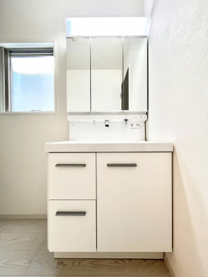 ʑEʏ@傫₷OʋŐʑ́AgȂ݃`FbN┧̂ɂ߂łB 