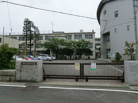 ӊ@wZ 1071m swZ