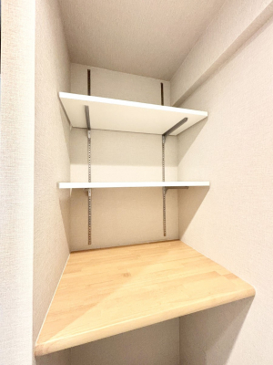 ̑ρ@֗ȃlɂŁAXbLg₷ʎ  