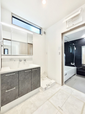 ���̑��@�_�炩�Ȓ��̌����������鑋���������ʎ�