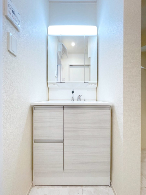 ʑEʏ@傫₷OʋŐʑ́AgȂ݃`FbN┧̂ɂ߂łB 