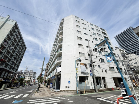 nOώʐ^@Ƃ肪Ί𐶂ސSn悢 