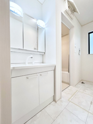 ʑEʏ@傫₷OʋŐʑ́AgȂ݃`FbN┧̂ɂ߂łB 