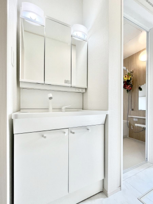 ʑEʏ@傫₷OʋŐʑ́AgȂ݃`FbN┧̂ɂ߂łB 