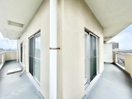 oRj[@LXoRj[ł󕨂C悭܂B