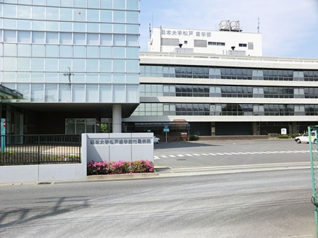 ӊ@a@ 1200m {wˎwta@