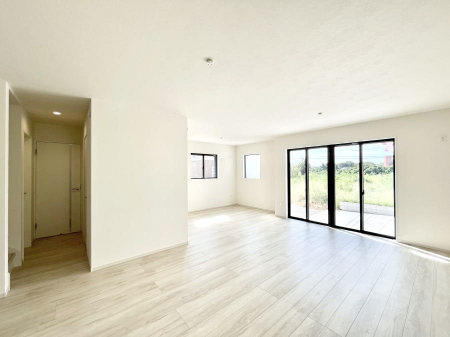 rO@傫ȑ炽Ղ̗zƕ郊rO  