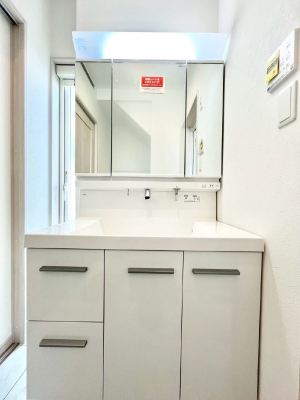 ʑEʏ@傫₷OʋŐʑ́AgȂ݃`FbN┧̂ɂ߂łB 