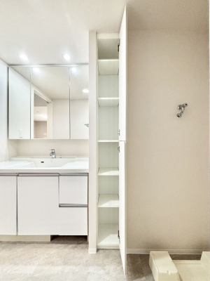 ̑ρ@֗ȃlɂŁAXbLg₷ʎ  