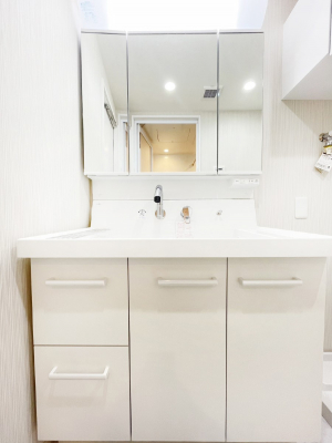 ʑEʏ@X^COɕ֗ȎOʋA~[LrlbgōׂXbL