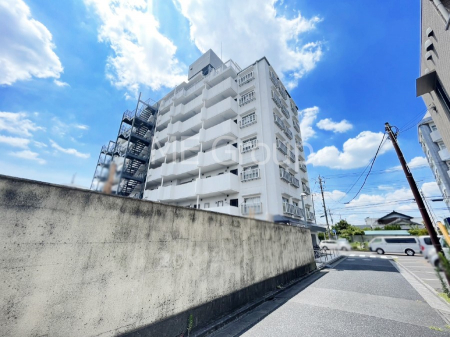 nOώʐ^@Ƃ肪Ί𐶂ސSn悢