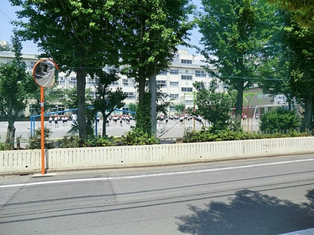 ӊ@wZ 800m V]wZ