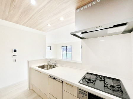 �L�b�`���@�J�E���^�[�z���Ɋy����������ׂ�B�����̂������������Ɣ��������Ȃ肻���ł���