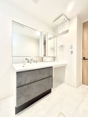 ʑEʏ@傫₷OʋŐʑ́AgȂ݃`FbN┧̂ɂ߂łB 