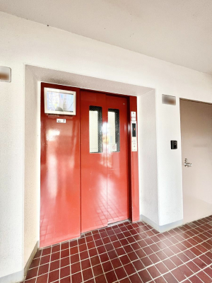 ̑ρ@Gx[^[̂ŉו̑Sł 