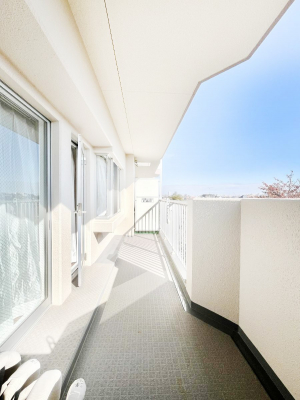 �o���R�j�[�@�S�n�悢���������Ȃ��炨���󕨂����������ł�