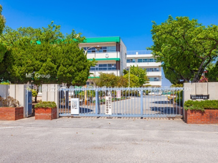 ӊ@wZ 2900m tst쒆wZ