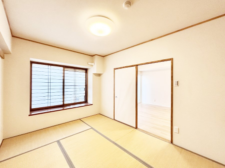 ̑ρ@a͖̕炵ɖƈ炬炵Ă܂