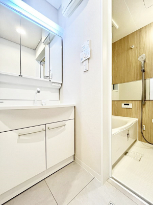 ʑEʏ@傫₷OʋŐʑ́AgȂ݃`FbN┧̂ɂ߂łB 