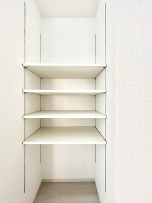 ̑ρ@֗ȃlɂŁAXbLg₷ʎ  