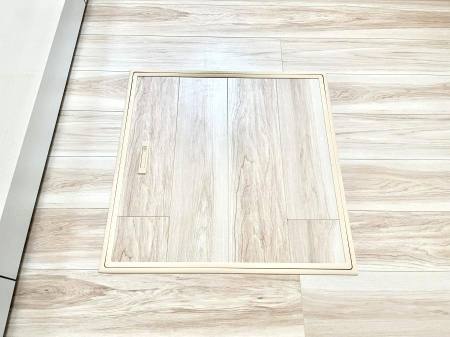 ̑ρ@[tIpiEpi̎[ɂ劈B