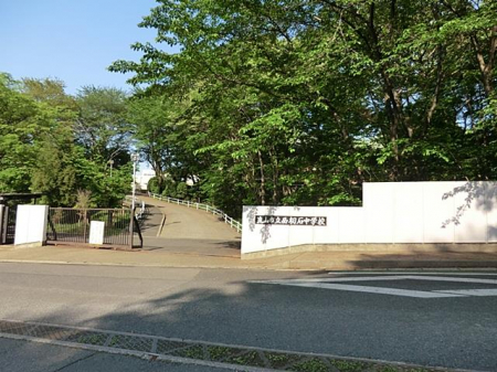 ӊ@wZ 1000m RsΒwZ