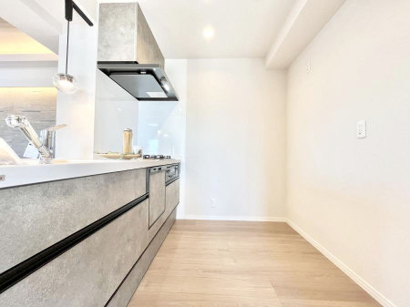 �L�b�`���@��Ƃ肠��L�b�`���X�y�[�X�ł�������H��̌�Еt�����X���[�Y�ɁI