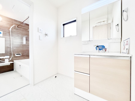 ���̑��@�_�炩�Ȓ��̌����������鑋���������ʎ�