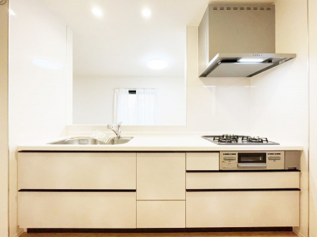 �L�b�`���@�������������I�ɁA�y�����I�V�X�e���L�b�`��