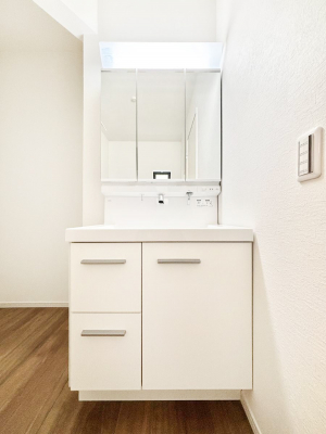 ���ʑ�E���ʏ��@���[�͂Ƌ@�\���ɗD�ꂽ���ʉ��ϑ�