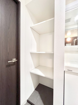 ̑ρ@֗ȃlɂŁAXbLg₷ʎ  