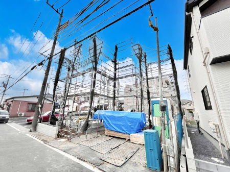 nOώʐ^@Ƃ肪Ί𐶂ސSn悢@ 