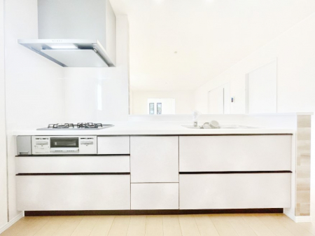 �L�b�`���@�V�X�e���L�b�`���̓V���v���ŃX�b�L�������O���̗��Ȃ��f�U�C���Ȃ̂ŉi���g�������I