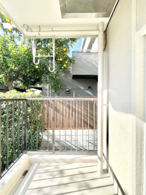 �o���R�j�[�@������̓�������̗ǂ��o���R�j�[  