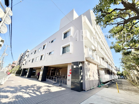 ���n�O�ώʐ^�@����z���ł��Ƒ��̏Ί���P��