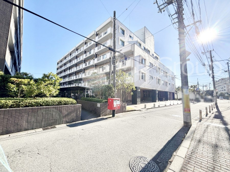 ���n�O�ώʐ^�@��������n�܂�V�����������������܂�  