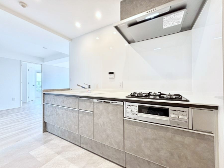 Lb`@H@E򐅊ERcRȂǃfUC@\˔VXeLb`I