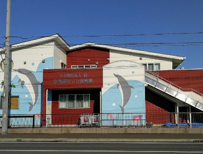 ���ӊ��@�c�t���E�ۈ牀 1100m ���؃}�����ۈ牀