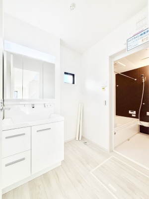 ���̑��@�_�炩�Ȓ��̌����������鑋���������ʎ�