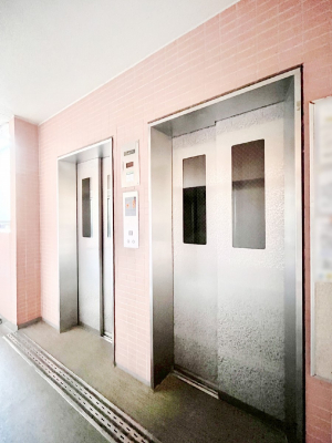 ̑ρ@Gx[^[̂ŉו̑Sł