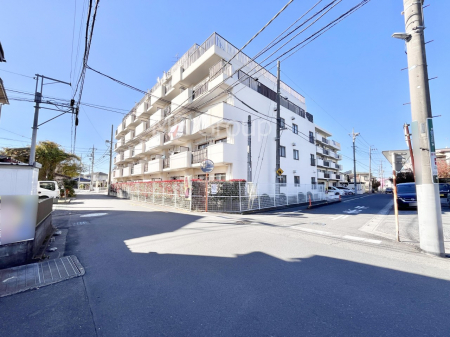 ���n�O�ώʐ^�@��������n�܂�V�����������������܂��@