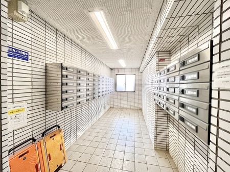 ���̑��@�W���|�X�g�@