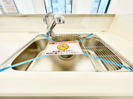 ���̑����ρ@�L�X�Ƃ����V���N�ł������₨�M�􂢂����N���N���K�ɁI