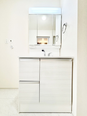 ���ʑ�E���ʏ��@���[�͂Ƌ@�\���ɗD�ꂽ���ʉ��ϑ�