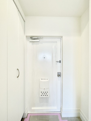 ց@U炩肪ȌւXbLIƑ̌CՂ[ł錺֎[t