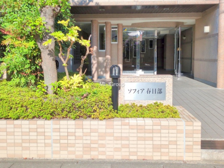 �G���g�����X�@-