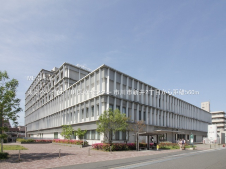 ӊ@a@ 560m xCYsÃZ^[