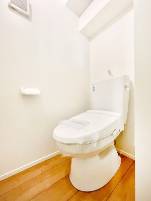 �g�C���@�������̂��锒����Ƃ���������������