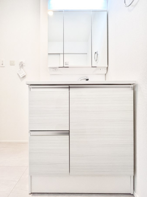 ���ʑ�E���ʏ��@�X�^�C�����O�ɕ֗��ȎO�ʋ��A�~���[�L���r�l�b�g�ōׂ������X�b�L��