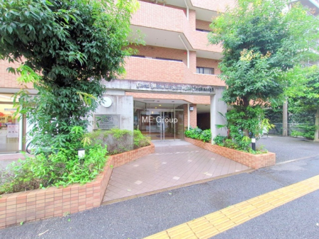 �G���g�����X�@-